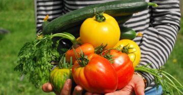Easy Vegetables to Grow