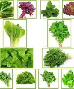 Nelesa Gardening 12 Leafy Vegetable Seeds for Home Gardening, Kitchen Gardening Seeds, Organic Vegetable Seeds, Fresh Indian Desi Vegetable Seeds, Easy to Grow Organic Vegetable Seeds for Garden