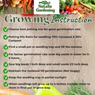 Nelesa Gardening 12 Leafy Vegetable Seeds for Home Gardening, Kitchen Gardening Seeds, Organic Vegetable Seeds, Fresh Indian Desi Vegetable Seeds, Easy to Grow Organic Vegetable Seeds for Garden - Image 4
