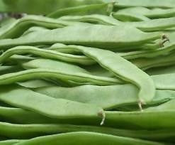 Nelesa Gardening Flat Lima Bean Sem Bakla Huruli Kai Seed - 25 Seeds