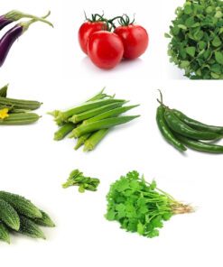Nelesa Gardening 9 Vegetable Combo Seed Pack of 270 Seeds For Home And Garden, Coriander, Oakra, Green chilli, Bitter Gourd(karela), spinach(palak), Ridge gourd(Turai), Tomato seeds, Brinjal long purple, Methi kasuri seeds)