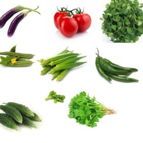 Nelesa Gardening 9 Vegetable Combo Seed Pack of 270 Seeds For Home And Garden, Coriander, Oakra, Green chilli, Bitter Gourd(karela), spinach(palak), Ridge gourd(Turai), Tomato seeds, Brinjal long purple, Methi kasuri seeds)