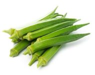 Nelesa Gardening 9 Vegetable Combo Seed Pack of 270 Seeds For Home And Garden, Coriander, Oakra, Green chilli, Bitter Gourd(karela), spinach(palak), Ridge gourd(Turai), Tomato seeds, Brinjal long purple, Methi kasuri seeds) - Image 2