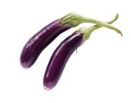 Nelesa Gardening 9 Vegetable Combo Seed Pack of 270 Seeds For Home And Garden, Coriander, Oakra, Green chilli, Bitter Gourd(karela), spinach(palak), Ridge gourd(Turai), Tomato seeds, Brinjal long purple, Methi kasuri seeds) - Image 5