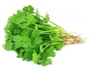 Nelesa Gardening 9 Vegetable Combo Seed Pack of 270 Seeds For Home And Garden, Coriander, Oakra, Green chilli, Bitter Gourd(karela), spinach(palak), Ridge gourd(Turai), Tomato seeds, Brinjal long purple, Methi kasuri seeds) - Image 7