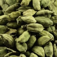 Nelesa Gardening Live Cardamom Chhoti Elachi Illaichi Plant - Image 4