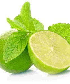 Nelesa Gardening Live Lime Plant Fruit Plant in polybag