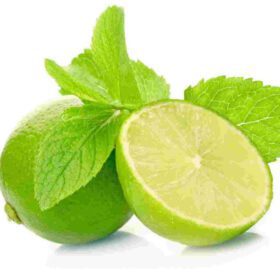Nelesa Gardening Live Lime Plant Fruit Plant in polybag
