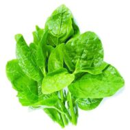 Nelesa Gardening Green Malabar Spinach Alugbati Alukbati Lukbati Basella alba Vine Spinach Ceylon Spinach Vegetable Seed for Home Garden Balcony- 20 Seeds Pack - Image 3