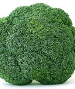 Nelesa Gardening Broccoli Hybrid Vegetable Seed - 20 Seeds Pack