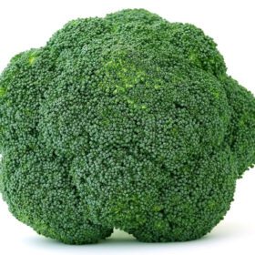 Nelesa Gardening Broccoli Hybrid Vegetable Seed - 20 Seeds Pack