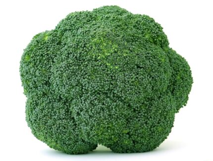 Nelesa Gardening Broccoli Hybrid Vegetable Seed - 20 Seeds Pack
