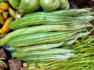Nelesa Gardening Snake Gourd | Serpent Gourd | Chichinda | Chichinga Vegetable Seeds | 25 Seeds - Image 2