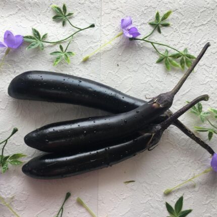 68bd6e0e3621fec973a0cf211902c8b1c5d116ec0f7ddbf660d14.jpg