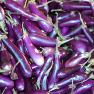 Nelesa Gardening Brinjal Purple Long Seeds – 50 Seeds Pack for Home Gardening, Organic Vegetable Seeds, Easy-to-Grow Eggplant Seeds, Long Purple Brinjal Seed for Indian Gardens - Image 8