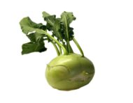 Nelesa Gardening Kohlrabi Knol Khol Vegetable Seed - 50 Seeds Pack - Image 6
