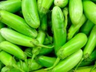 Nelesa Gardening Brinjal Big Green Eggplant Organic Vegetable Seeds - 50 Seeds Pack for Home Gardening, High Yielding Easy to Grow Eggplant Seed for Indian Gardens, Vegetable Seed for Home Gardeners - Image 8
