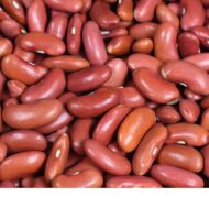 Nelesa Gardening Red Kidney Bean 10 Vegetable Seeds for Home Garden - Image 9