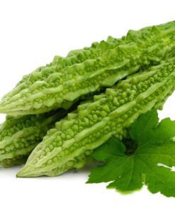 Nelesa Gardening Bitter Gourd Seeds 25 Seeds