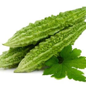 Nelesa Gardening Bitter Gourd Seeds 25 Seeds