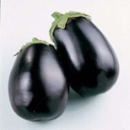 Nelesa Gardening Brinjal Black Beauty Eggpalnt 50 Seeds - Image 6