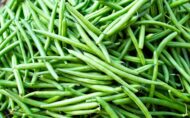 Nelesa Gardening Pole Bean Vegetable Seeds - 20 Seeds Pack