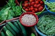 Nelesa Gardening Pole Bean Vegetable Seeds - 20 Seeds Pack - Image 4