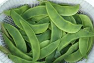 Nelesa Gardening Flat Lima Bean Lablab Sem Bakla Vegetable Seed - 20 Seeds Pack - Image 6