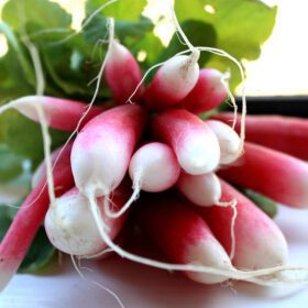 Red Radish Lal Mooli Vegetable Seed - Pack of 50 seeds