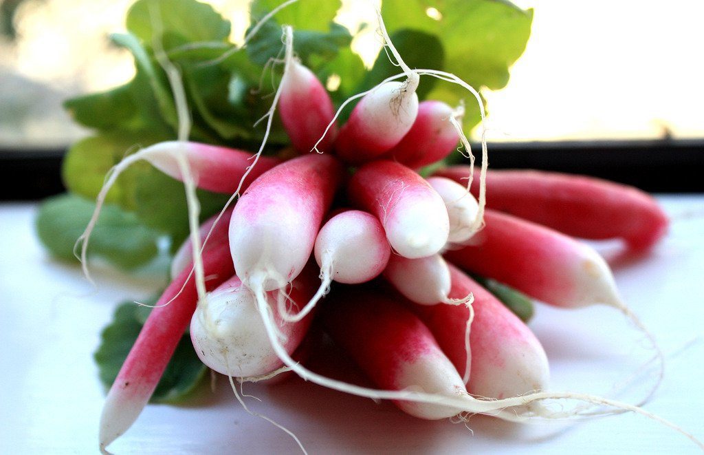 Red Radish Lal Mooli Vegetable Seed - Pack of 50 seeds