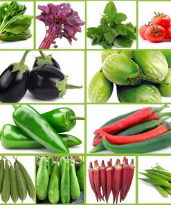 Vegetable seed combo pack of 12, Organic Vegetable Seeds For All Season, Indian Desi Vegetable Seeds, Home Gardening Seeds For Home Grown Vegetables, Pack Of 12 Different Seeds