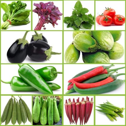 Vegetable seed combo pack of 12, Organic Vegetable Seeds For All Season, Indian Desi Vegetable Seeds, Home Gardening Seeds For Home Grown Vegetables, Pack Of 12 Different Seeds