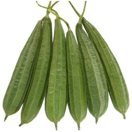 Ridge Gourd Seeds