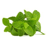 Mint Pudina Seeds for Home Gardening – 30 High-Germination Seeds for Balcony, Terrace & Kitchen Garden | Organic Seeds