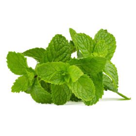 Mint Pudina Seeds for Home Gardening – 30 High-Germination Seeds for Balcony, Terrace & Kitchen Garden | Organic Seeds