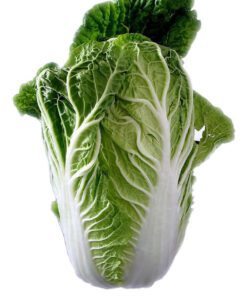 Cabbage Chinese Vegetable Bok Choy Pok Choy Seed - 50 Seeds Pack for Home Garden, Non-GMO Organic Asian Greens, Perfect for Kitchen & Outdoor Gardening, High Yield, Easy to Grow