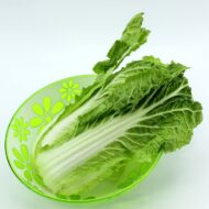 Cabbage Chinese Vegetable Bok Choy Pok Choy Seed - 50 Seeds Pack for Home Garden, Non-GMO Organic Asian Greens, Perfect for Kitchen & Outdoor Gardening, High Yield, Easy to Grow - Image 3