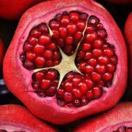 Live Pomegranate Anar Bedana Fruit Plant | Grow Your Own Juicy Pomegranates At Your Home | Hardy Pomegranate Plant for Your Garden | Plant Height 1-1.5 Feet - Image 6