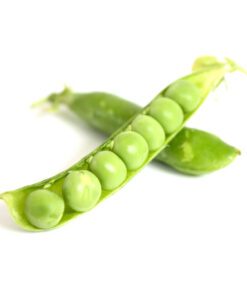 Sweet Pea Seed - 20 Seeds Pack