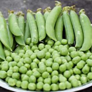 Sweet Pea Seed - 20 Seeds Pack - Image 2