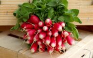 Radish Pink White Seeds - 50 seeds Pack