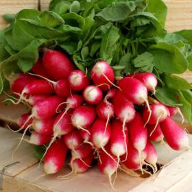 Radish Pink White Seeds - 50 seeds Pack