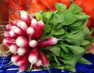 Radish Pink White Seeds - 50 seeds Pack - Image 2