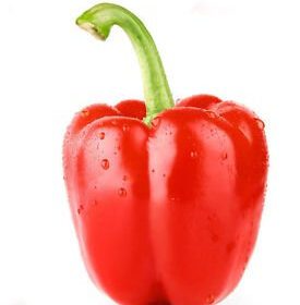 Sweet Red Bell Pepper Capsicum Vegetable Seeds - 15 Seeds Pack, High-Yield Non-GMO Organic Seeds for Home & Kitchen Gardening, Easy to Grow, Ideal for Indoor & Outdoor Gardens