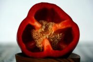 Sweet Red Bell Pepper Capsicum Vegetable Seeds - 15 Seeds Pack, High-Yield Non-GMO Organic Seeds for Home & Kitchen Gardening, Easy to Grow, Ideal for Indoor & Outdoor Gardens - Image 5