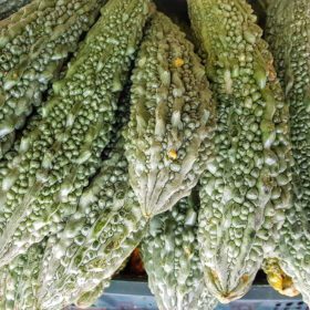 Bitter Gourd Seed, Karela, Karle - 30 Seeds Pack