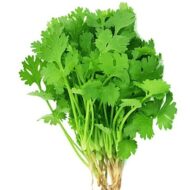 Coriander Cilantro Vegetable Seed for Home Garden 100 seeds Pack - Image 4