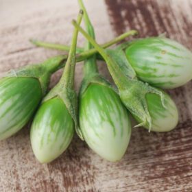Brinjal Green Oval seeds 50 Seeds