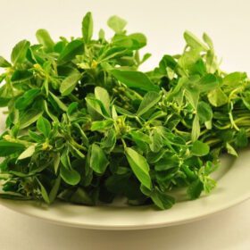 Fenugreek, Methi, Trigonella foenum-graecum, Herbs Seeds - 100 Seeds Pack