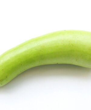 Bottle Gourd Seeds 25 Seeds